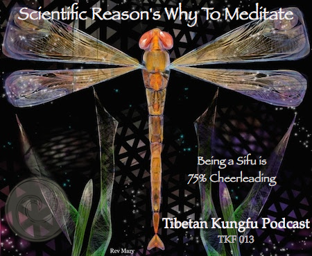 scientific reasons to meditate