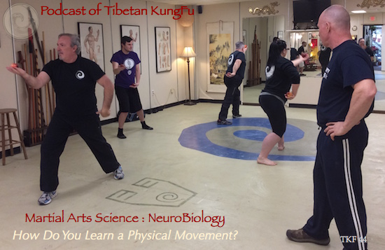 martial arts science, learn movement,physical skills